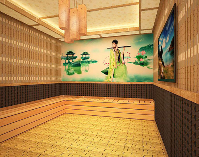 家用小型纳米汗蒸房