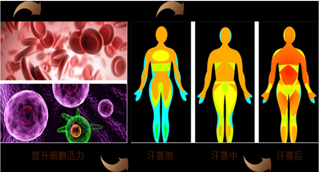 有了家用汗蒸房蒸了就是不一样